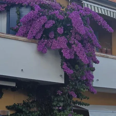 Appartamento Speranza Biograd Na Moru